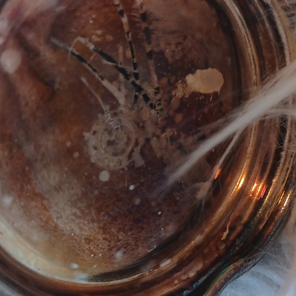 Vintage Forbes Plate Silver Pitcher 1007 - Picture 3 of 3